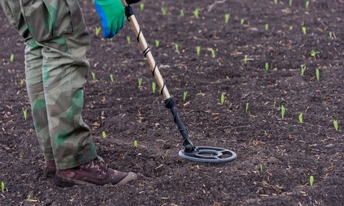 1 84941 original jpg jpeg