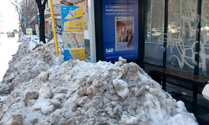 zapada Bucuresti FOTO FB Ciprian ciucu jpg