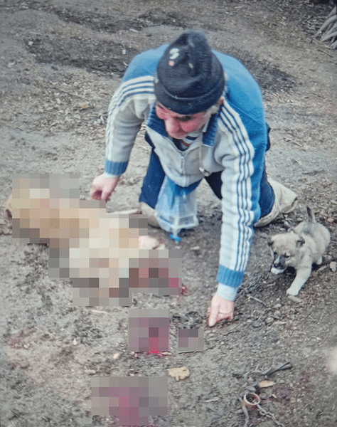 Caz șocant la Vaslui. Bărbat acuzat că ucide câini și îi mănâncă. „Sunt cinci-șase ani de când omoară câinii din sat”