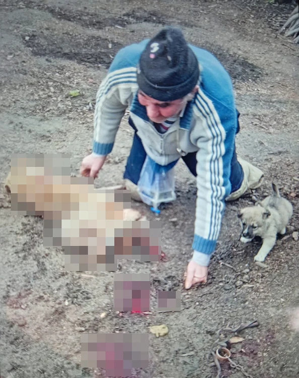 Dumitru C. susprins de polițiști la scurt timp după uciderea cățelușei FOTO IPJ Vaslui