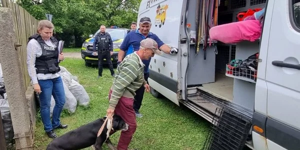 caini confiscati politsiti foto ipj huendoara