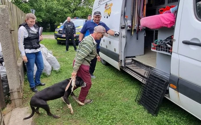 Câini ridicaţi de poliţişti. Foto: IPJ Hunedoara.