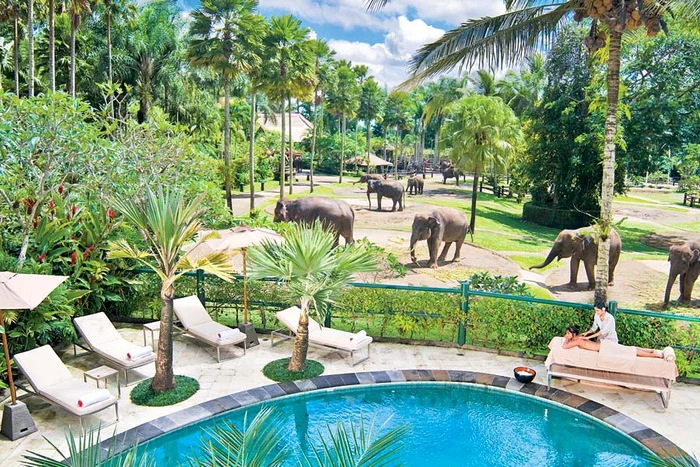 Najin ronţăie  liniştită, armata  o păzeşte