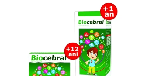 biocebral