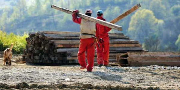 Timişoara: Manageri angajaţi pe contracte de zilieri
