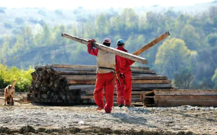 O primărie a fost amendată pentru că a angajat zilieri fără forme legale FOTO Arhivă