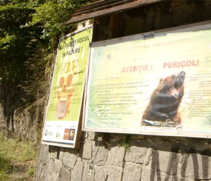 Te şi întrebi dacă pandemia e de vină pentru anarhie sau invers.