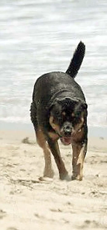 
    Foto: Guliver/Splashnews  