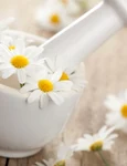 chamomile jpeg