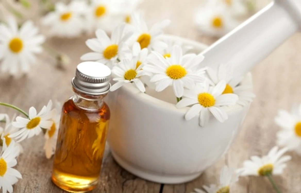 chamomile jpeg