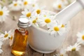 chamomile jpeg