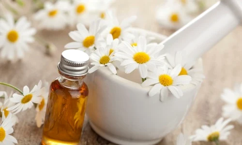 chamomile jpeg