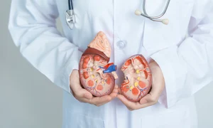 shutterstock 2274134051 jpg