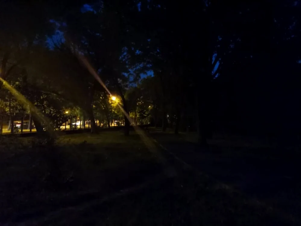 Parcul Botanic