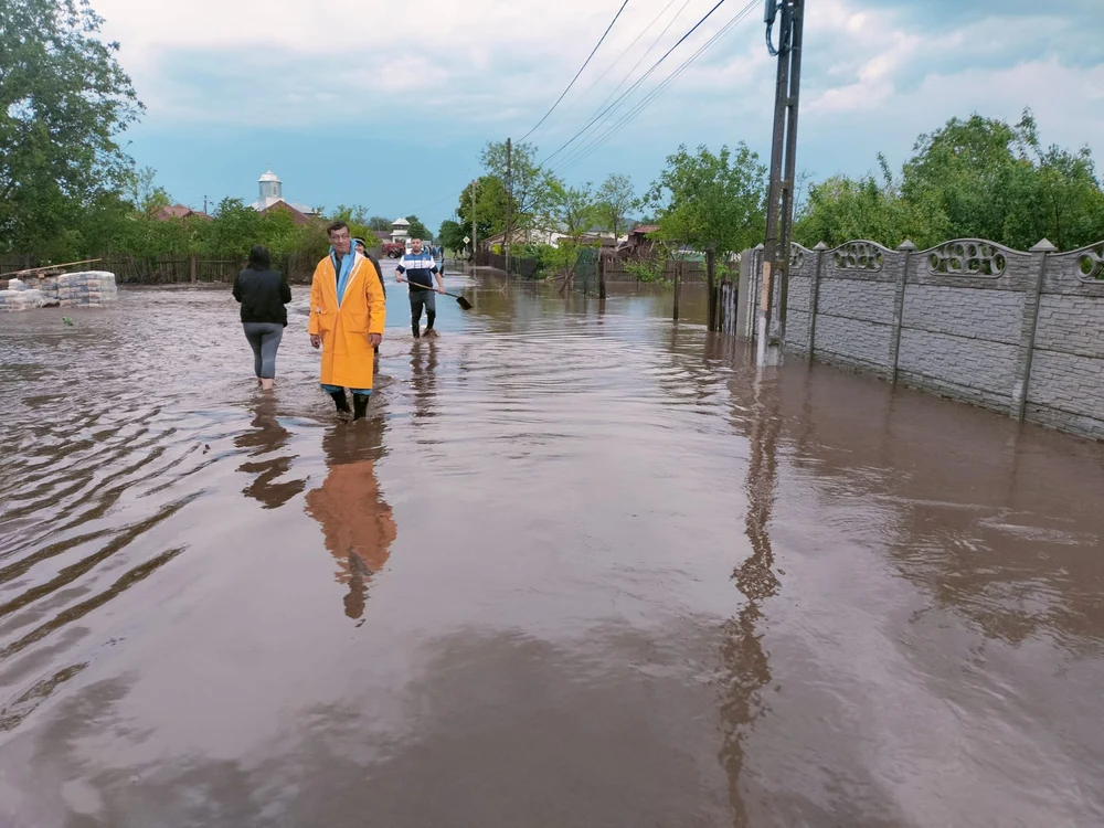 Trei autoturisme au fost avariate de un copac rupt în timpul furtunii de duminică după-amiază VIDEO