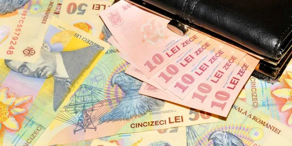 Portofel cu bani - bancnote - lei FOTO Shutterstock 