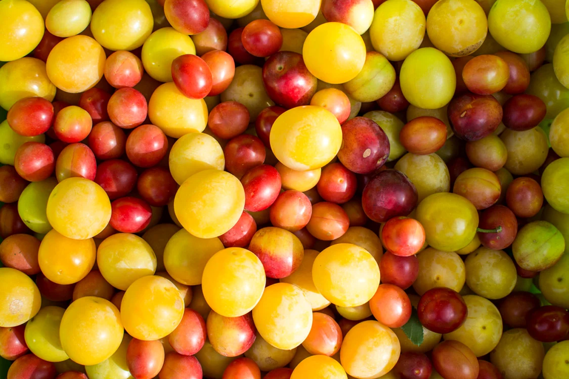 Nu le mai ocoli! Sunt pline de antioxidanţi şi au beneficii unice asupra organismului jpeg