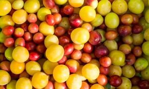 Nu le mai ocoli! Sunt pline de antioxidanţi şi au beneficii unice asupra organismului jpeg