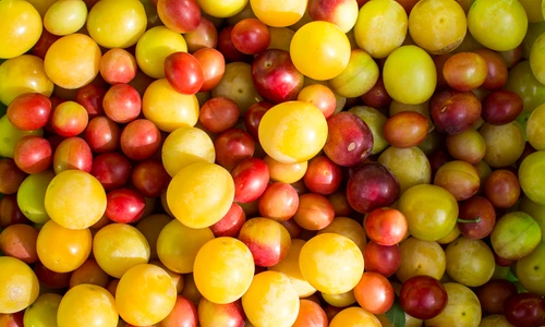 Nu le mai ocoli! Sunt pline de antioxidanţi şi au beneficii unice asupra organismului jpeg