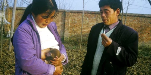 jiao xingzhen alaptat maimute foto the sun