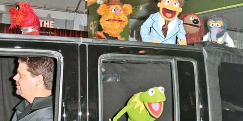 Câteva dintre celebrele păpuşi Muppets 