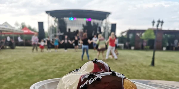 Festivalul Papanaşilor de la Remetea Mare  			 		