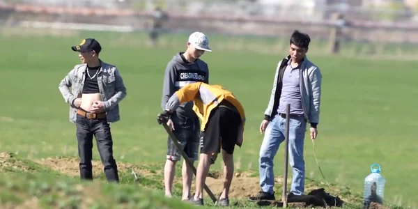 Vietnamezii sapă după popândăi FOTO Anamaria Manolea