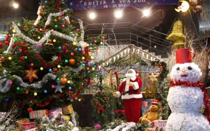 Expoziţia Vis de Iarnă de la Grădina Botanică. 