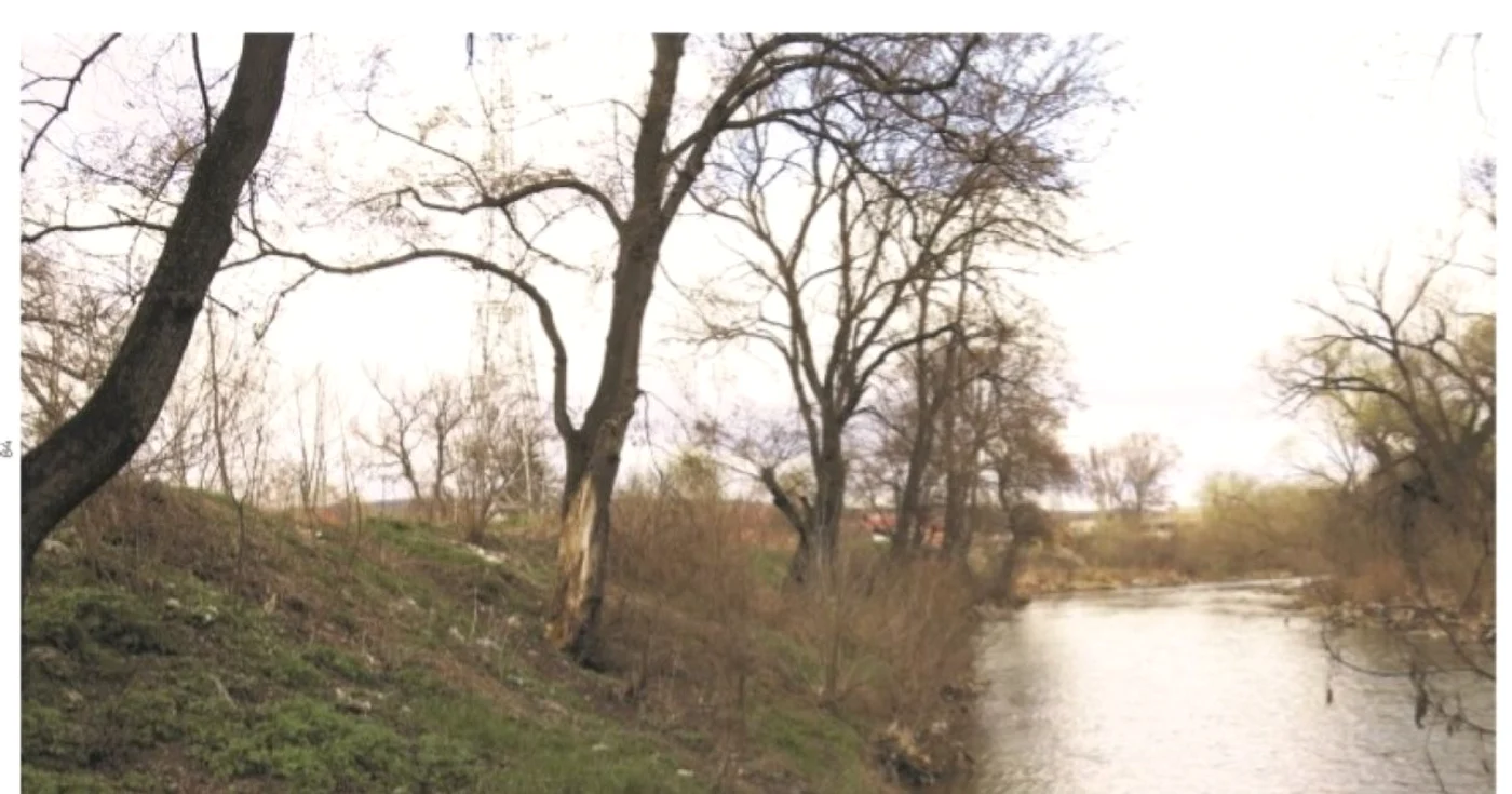 propuneri de amenajare a malurilor somesului foto primaria cluj napoca