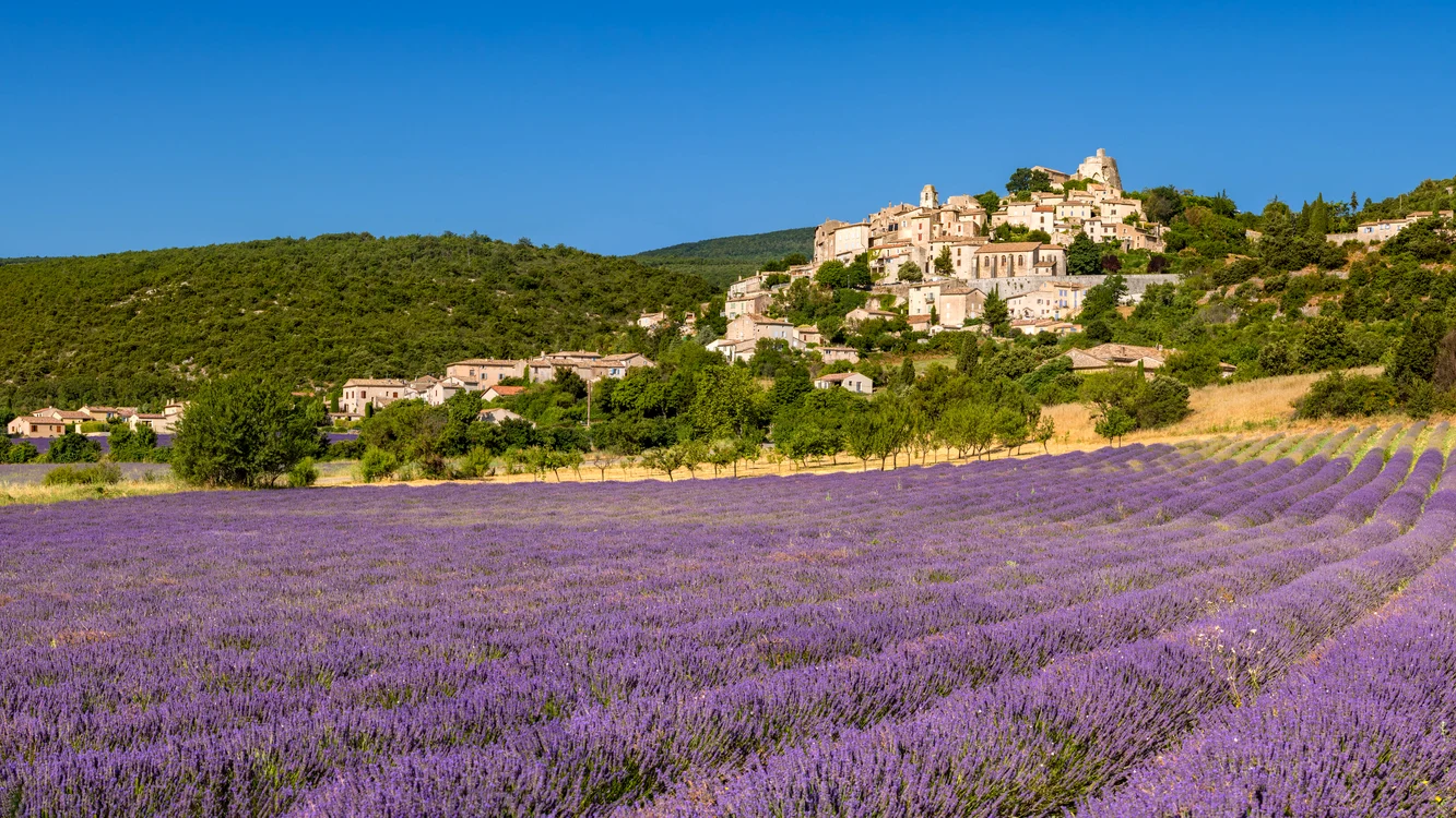 rsz câmp de lavandă într un sat din franța   shutterstock jpg
