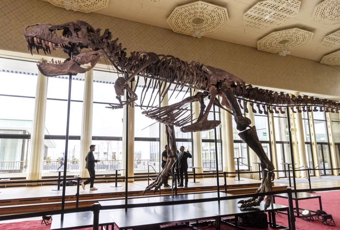 T.rex FOTO: pbs.org