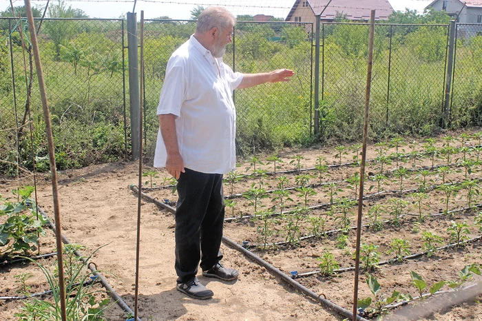 Maestrul este mândru de  toate plantele și copacii pe  care îi are în grădină și de  care are grijă în fiecare zi