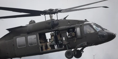 ID217985 INQUAM Photos George Calin jpg