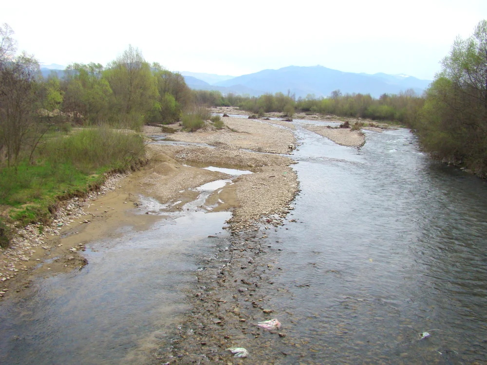 Crișul Pietros din Bihor