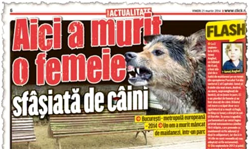 Legiştii au stabilit că  ea băuse foarte mult (Foto: Mediafax) jpeg