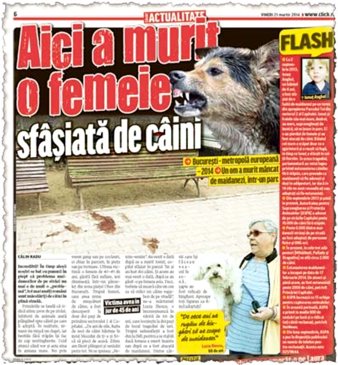 Legiştii au stabilit că ea băuse foarte mult (Foto: Mediafax)