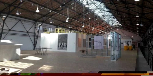 Art Encounters 2017 - inaugurarea de la Muzeul "Corneliu Mikloşi" FOTO Ş.Both