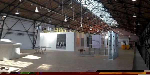 Art Encounters 2017 - inaugurarea de la Muzeul "Corneliu Mikloşi" FOTO Ş.Both