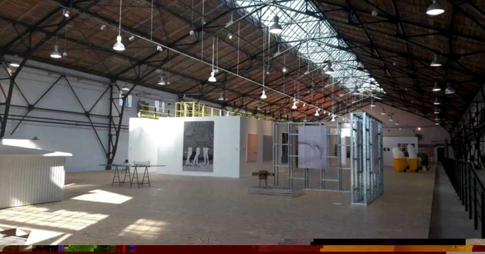 La Art Encounters 2017 a avut loc inaugurarea Muzeului "Corneliu Miklosi" FOTO Ş.Both