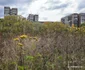 Municipiul Lupeni din Hunedoara  Foto Daniel Guță ADEVĂRUL (14) jpg