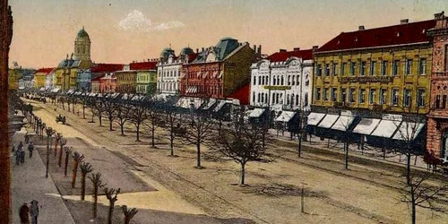 dezvoltare arad