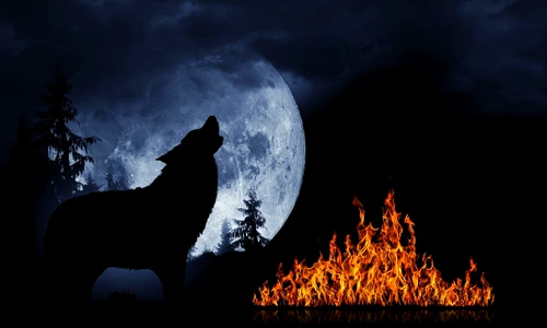 1 72967 original jpg jpeg