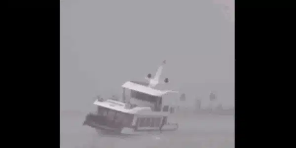 vietam gif gif