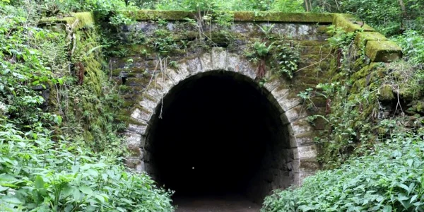 tunel cincis foto daniel guta