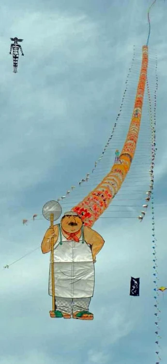 Festivalul Internaţional de Zmeie din Timişoara