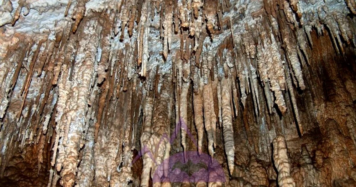 pestera tausoarelor 1