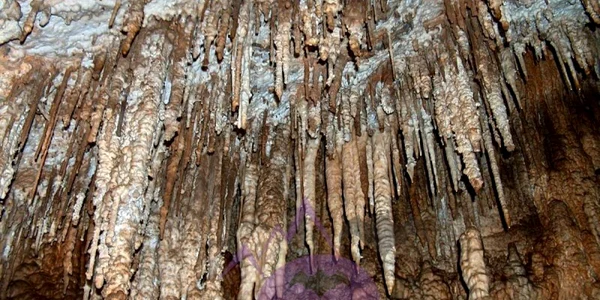 pestera tausoarelor 1