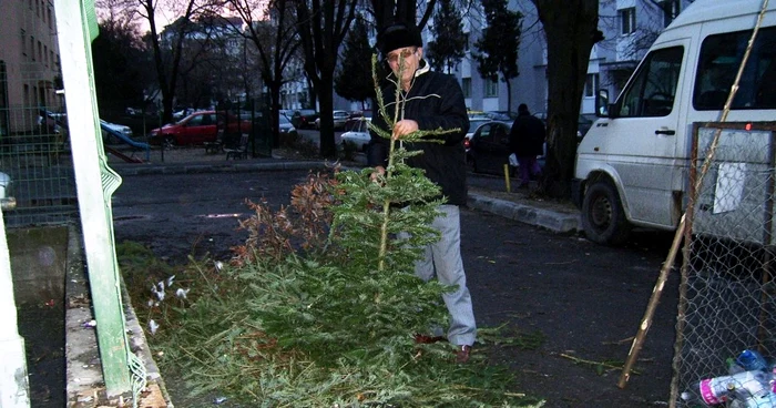 Ion Sandu curăţă brazii găsiţi la ghenă şi-i face susţinători pentru plante.