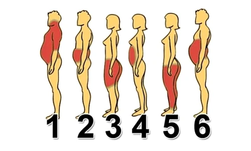 1 83240 original jpg jpeg