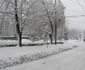 Zăpadă în Timişoara